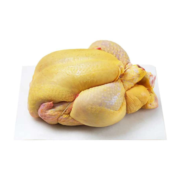 Poulet fermier jaune